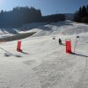 Bezirksmeisterschaft